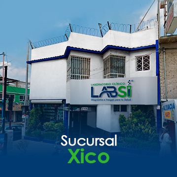 sucursal xico