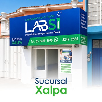 imagen sucursal xalpa